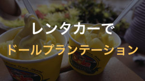 レンタカーでドールプランテーションへ行ってきた【ハワイ新婚旅行5日目①】