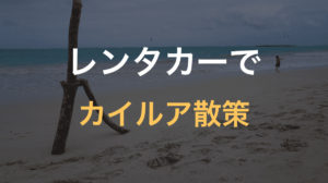 レンタカーでカイルア散策!ターゲットやカイルアビーチに行って来た【ハワイ6日目②】
