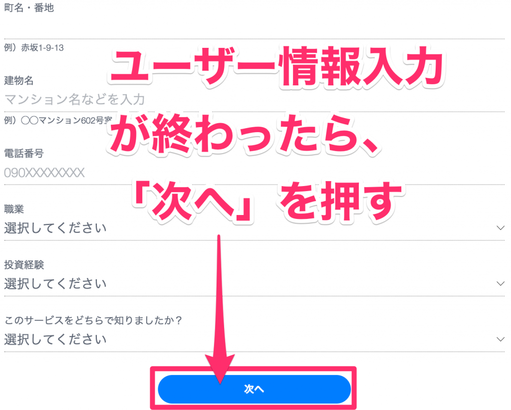 THEOのユーザー登録を入力する2
