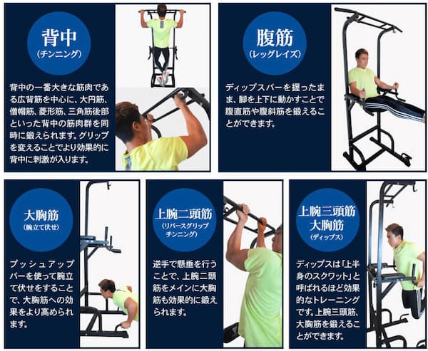 懸垂マシン「Steady(ステディ)」でできる筋トレの種類
