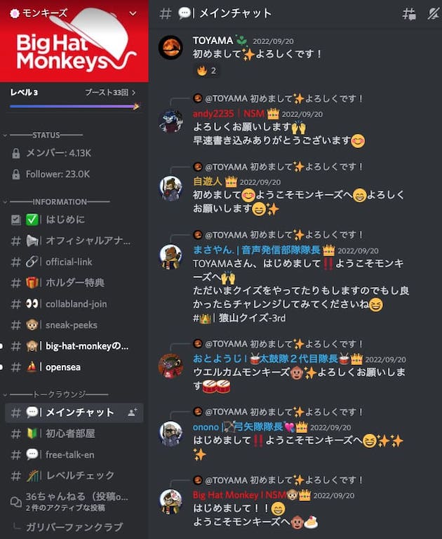 nsm monkeys discord