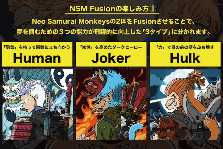 NSM Fusion 3種類