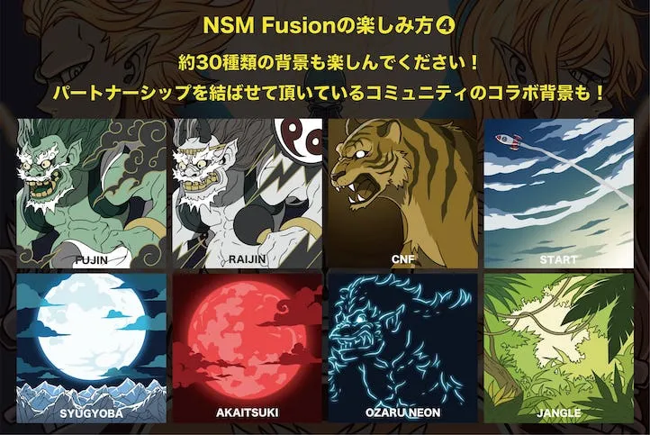 NSM Fusion 楽しみ方