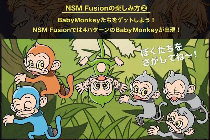 NSM Fusion 楽しみ方